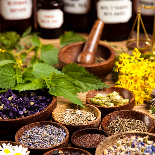 Avoir des plantes médicinales dans son jardin