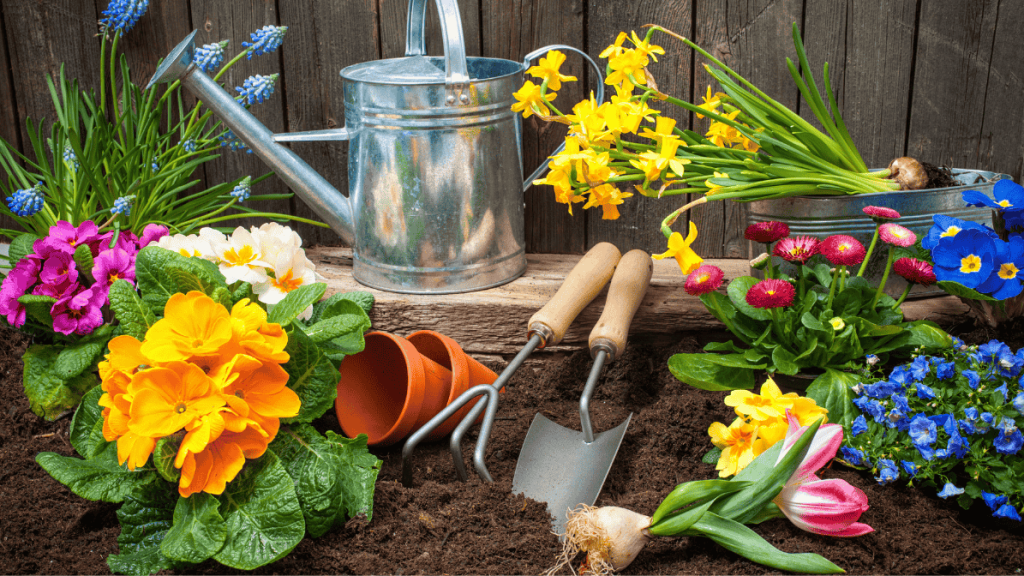 12 erreurs à éviter au jardin